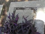 image of grave number 617689